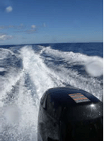 Scuba Diving in Dorset slideshow