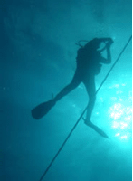 Scuba Diving in Dorset slideshow